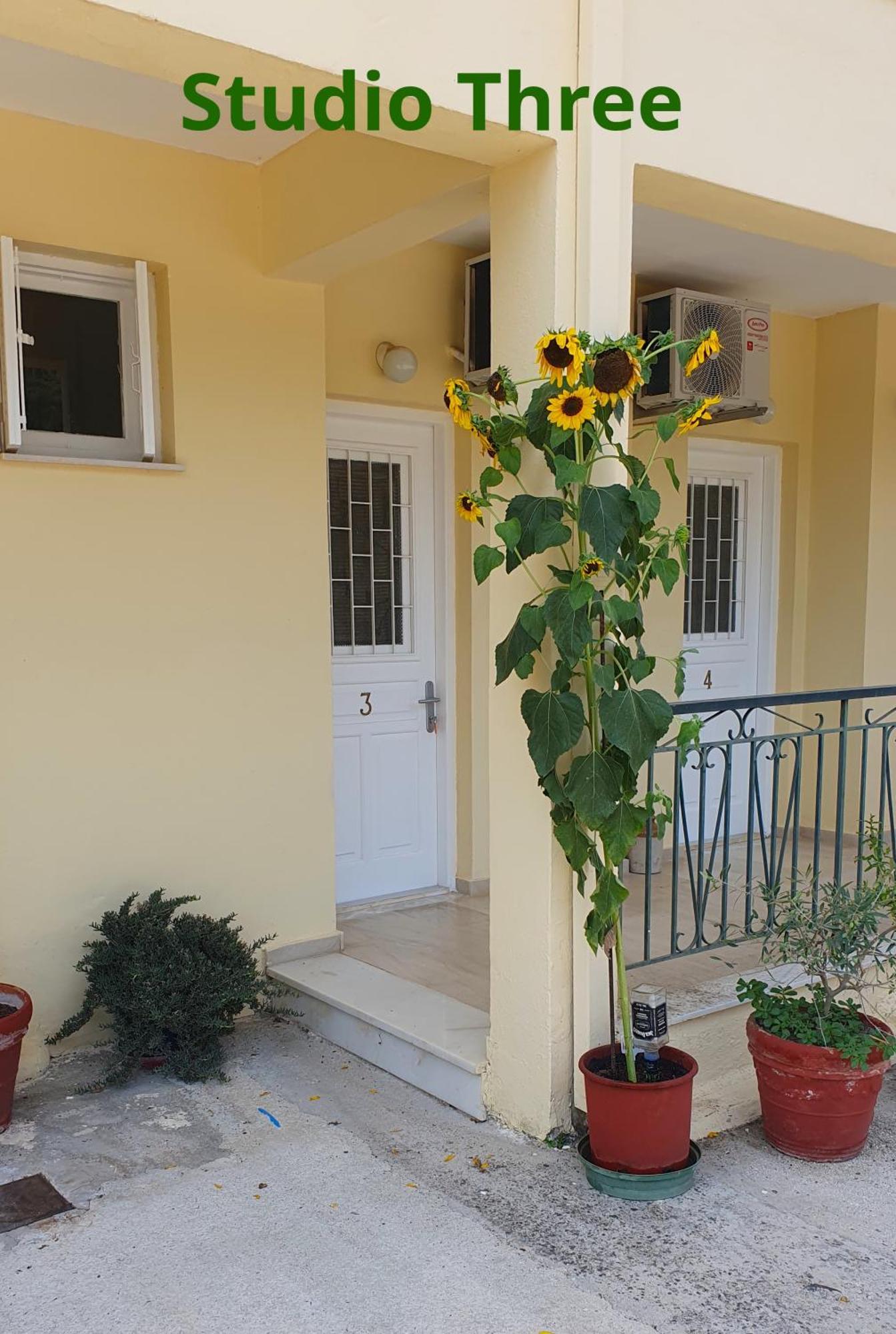 Kivotos Villa Studios Roda (Corfu) Exterior foto